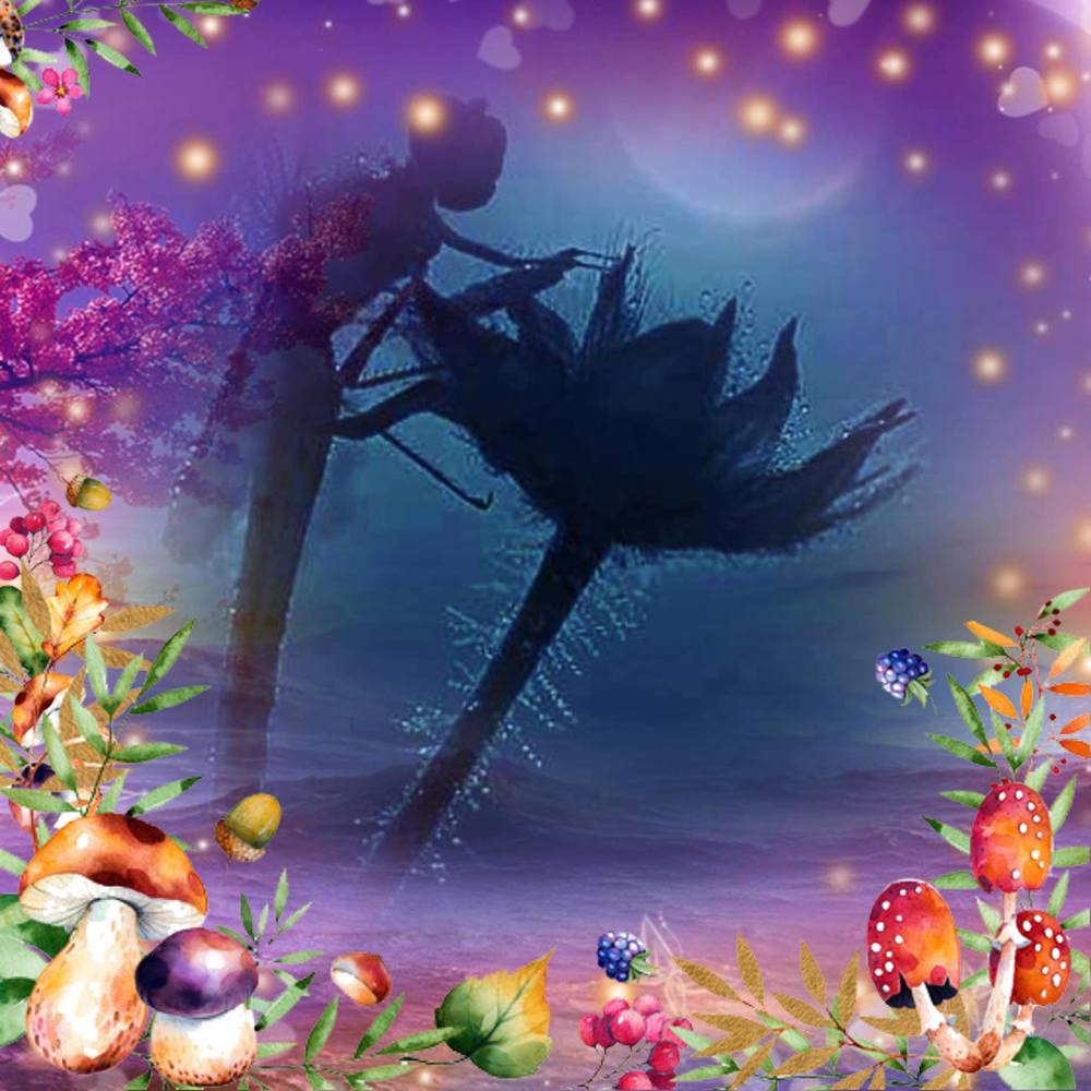 Meet your Posher, Susan